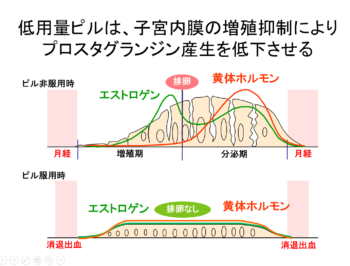 子宮 内 膜 増殖 症 ブログ