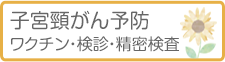 子宮頸がん予防ワクチン（HPVワクチン）