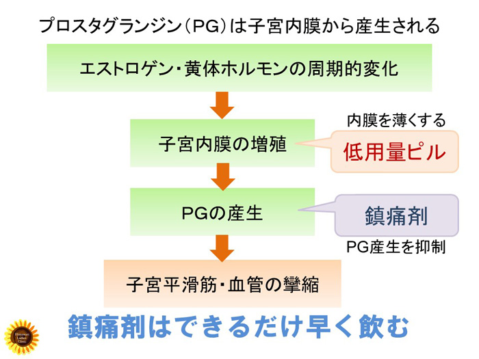 プロスタグランジン(PG)の作用