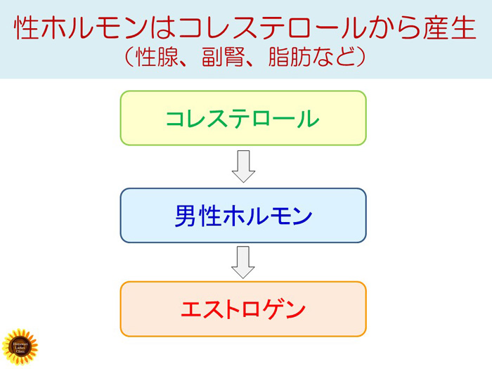 性ホルモンはコレステロールから産生