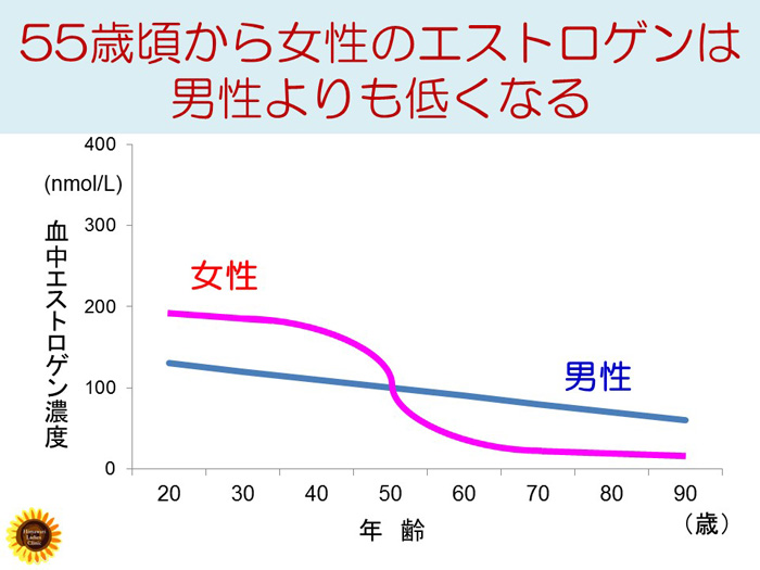 55歳頃から女性のエストロゲンは男性よりも低くなる