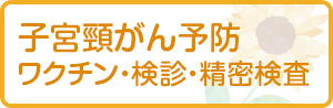 子宮頸がん予防ワクチン（HPVワクチン）