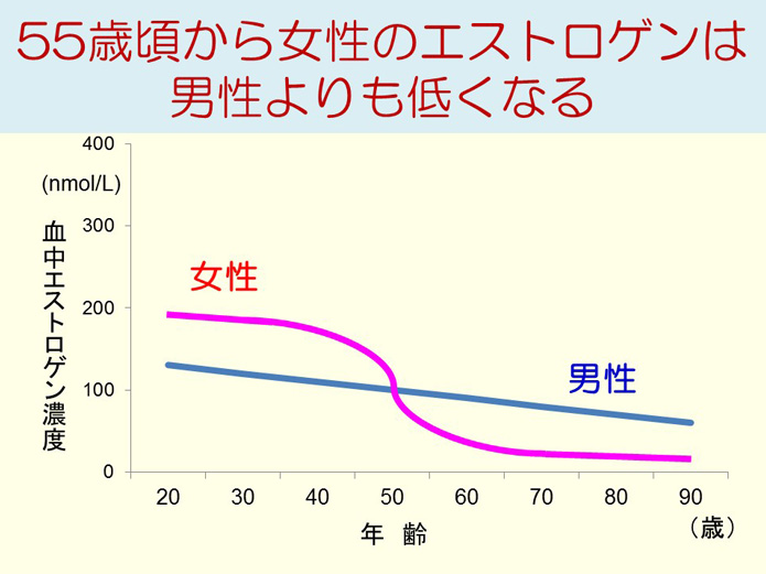 55歳頃から女性のエストロゲンは男性よりも低くなる