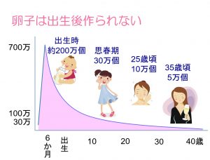 ピルを飲んで排卵しなかった卵子はどうなるの 横浜市都筑区の婦人科 ひまわりレディースクリニック