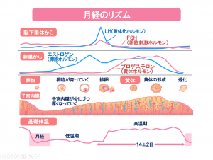 生理 前 熱 高い