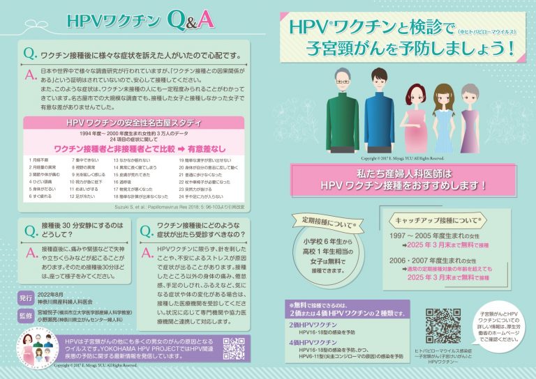 注射可能なフェルデンのリーフレット